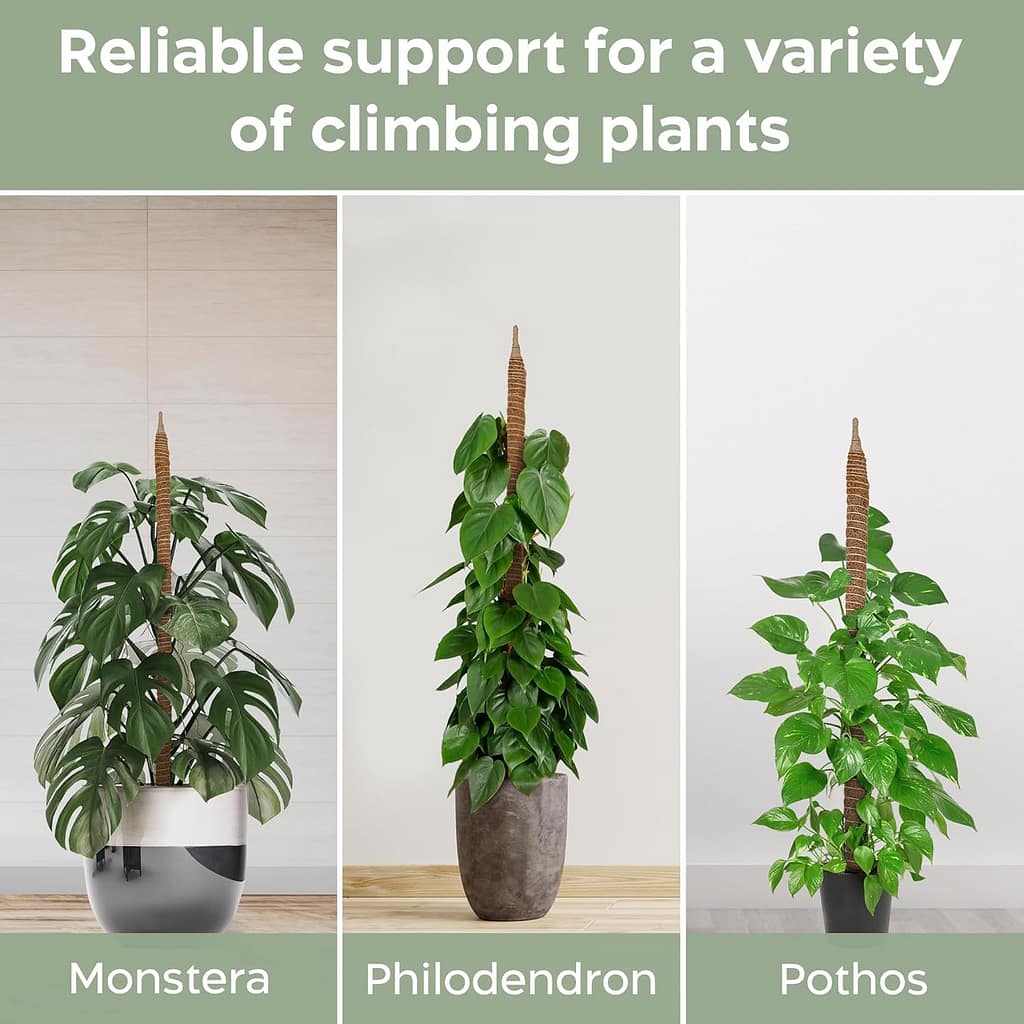 trellis for philodendron and pathos 