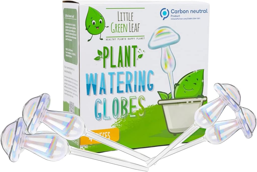 the best self watering globe for your philodendron