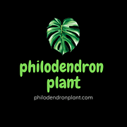 phlodendronplant.com