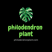 philodendron plant