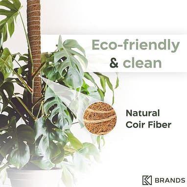 The Best Philodendron Trellis - Philodendron Plant