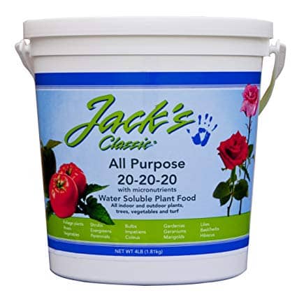 jack classic is good for philodendron