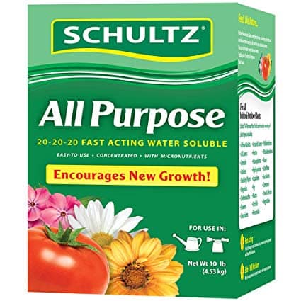 fertilizer for your philodendron